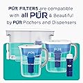 PUR PLUS Water Pitcher and Dispenser Replacement Filter PPF951K1