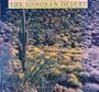 The Sonoran Desert