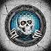Powell-Peralta Pool Light Ripper Banner Vinyl Skateboard with Metal Eyelets (36-Inch X 36-Inch)