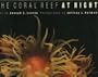 The Coral Reef at Night
