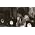 Thumbnail image of Beady Eye