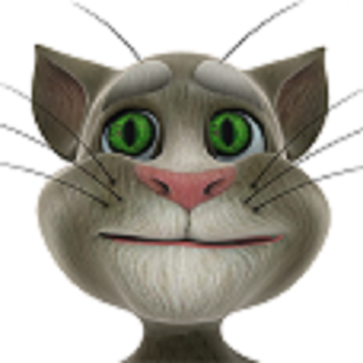 Talking Tom Cat 1