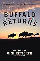 Buffalo Returns