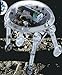 Moonwalker Robot