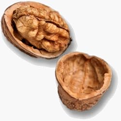 black walnut flavor extract