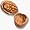 black walnut latte mix
