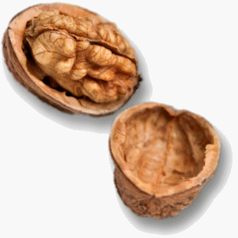 black walnut latte mix