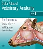 Color Atlas of Veterinary Anatomy, Volume 1, The Ruminants