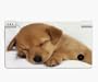 Cute Sleepy Puppy Decorative Protector Skin Decal Sticker for Nintendo DSi