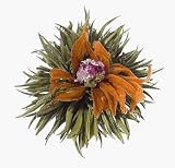 Teaposy Heart of Love Tea- Box of 6