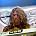 .38 Special - Bobby Capps - 38 Special / photo credit - Carl Dunn