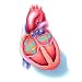 Atrial Fibrillation Calculator