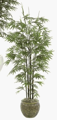 Artificial Growth P-3762 - 7 Foot Japanese Bamboo Tree - Black Stem