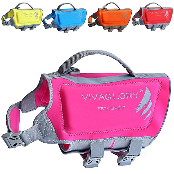 Vivaglory Dog Life Vest Blue Small Reflective & Adjustable Life Jacket