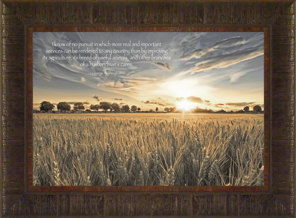 Amazon.com: A Noble Pursuit By Todd Thunstedt 17.5x23.5 Farm All ...