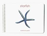 Starfish (Sea Star): External Parts Book (External Anatomy of the Echinoderm)