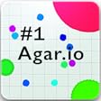 #1 Agar.io