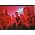 Thumbnail image of Cage the Elephant