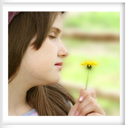 Background Blur Camera HD