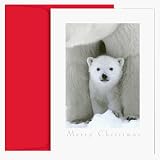 Polar Bear and Cub Holiday Cards