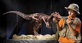 GeoSafari Tyrannosaurus - rex