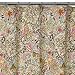 All Products : Shakira Shower Curtain - Multicolor (72x72")