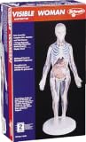 Visible Woman Kit