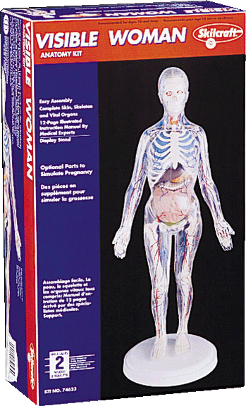 Visible Woman Kit