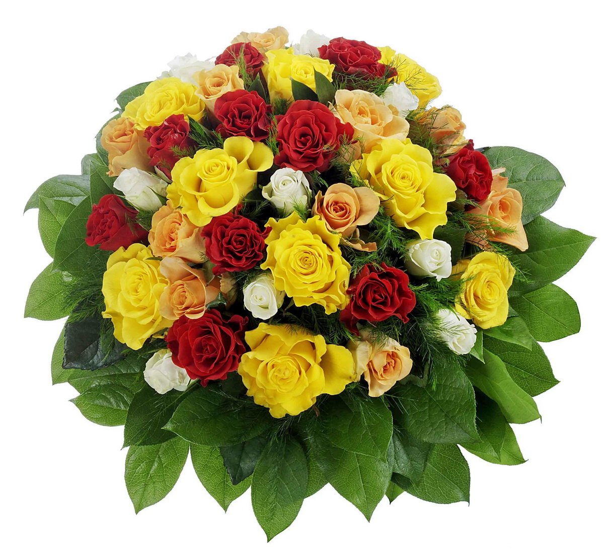 71qEPrOKqcL._SL1200_.jpg
