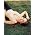 Vignette de Jessica Andrews