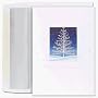 Outside Tree Boxed Christmas Cards
