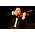 Thumbnail image of Georges-Emmanuel Schneider