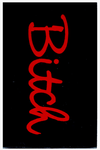 Click here to buy Bitch (cursive logo) Lucite Keychain.