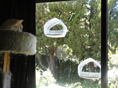 Perky-Pet 348 Window Wild Bird Feeder