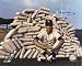 All Products : Autographed/Hand Signed Maury Wills Los Angeles Dodgers Photo