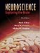 Neuroscience Exploring The Brain