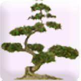 Qi Gong Meditation Relaxation ~ Excel At Life