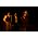 Thumbnail image of The Avett Brothers
