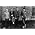 Thumbnail image of Talking Heads