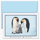  : Emperor Penguins Boxed Holiday Cards