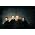 Thumbnail image of Gang of Four