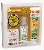 Burt's Bees Mint Medley Gift Set
