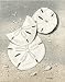 Dollars & Doves. Fine Art. Signed & Numbered Limited Edition Giclee Print by Christi Mathews. 27