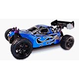 SHOCKWAVE ~ 1 10 SCALE ~ RC NITRO BUGGY ~ by REDCAT RACING ~ BLUE : by Redcat Racing