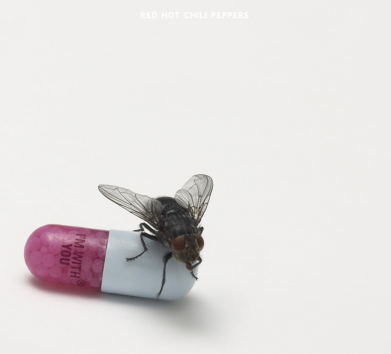 Red Hot Chili Peppers『I'm With You』++++++++++