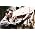 Thumbnail image of Gaz Coombes Presents