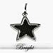 316L Stainless Steel Pendant Stainless Steel Pendant with star-shape and combination of carbon fiber and shiny polish.Width of Charm: 2.5mm Length of Charm: 35.5mm