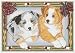 Pipsqueak Productions C859 Holiday Boxed Cards- Australian Shepherd