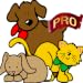 Pet Master Pro