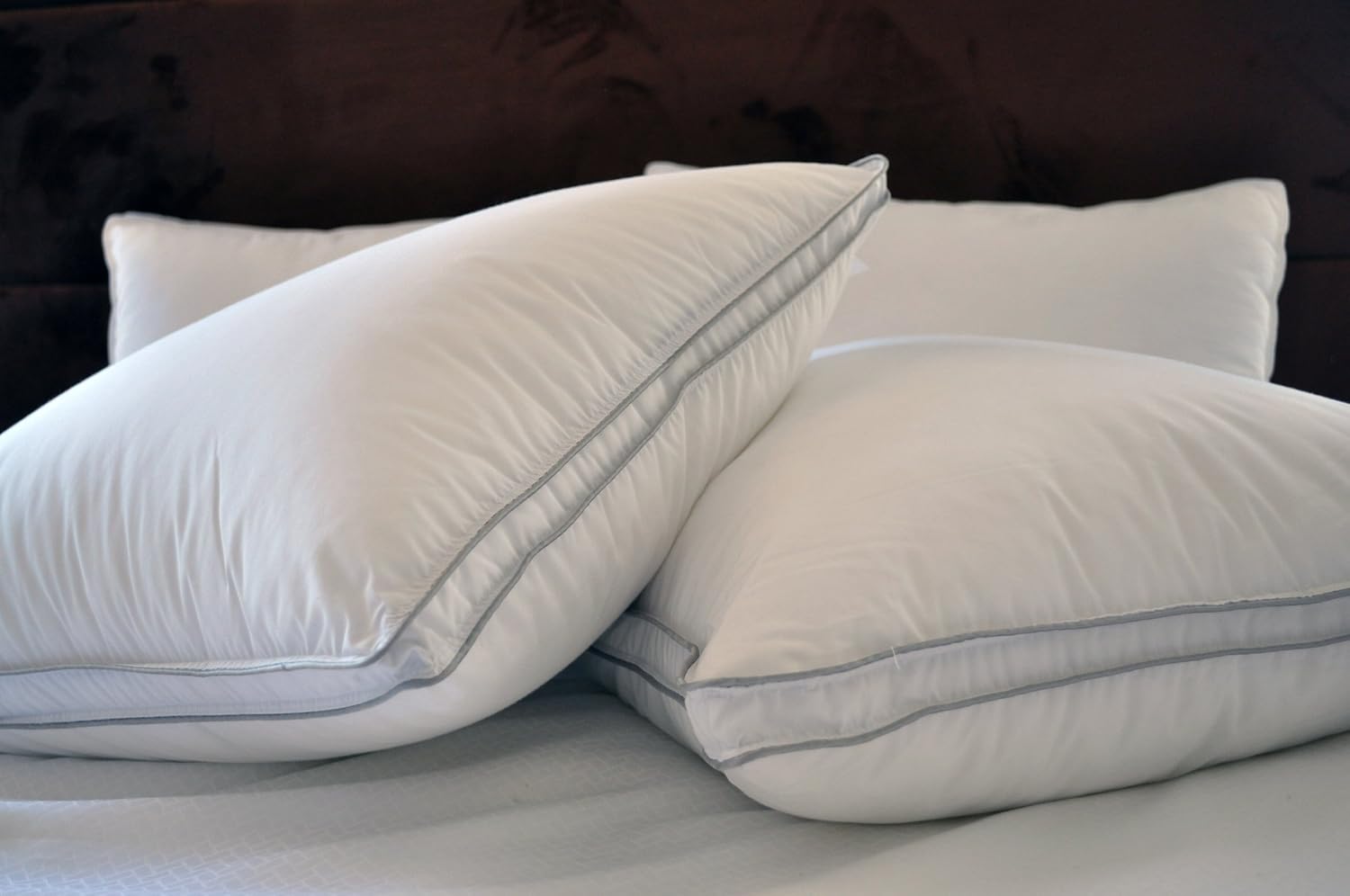 Allergy Shield S Anti Dustmite Microfiber 300 Tc Pillow Set Of Two